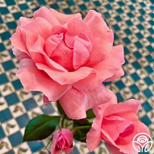 Eiffel Tower - Image 3