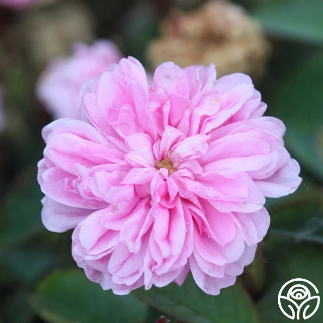 James Mitchell - Image 5