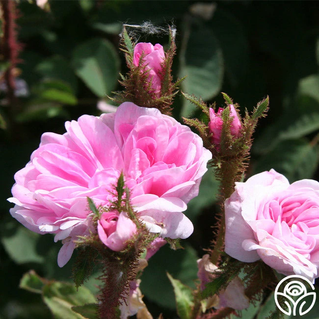 James Mitchell - Image 7